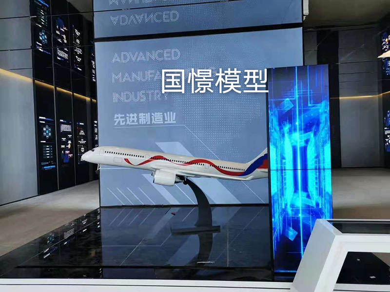株洲飞机模型